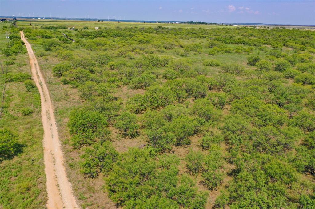199 Rd Jacksboro Tx 76458 Road Jacksboro, TX 76458 - Photo 13 of 20