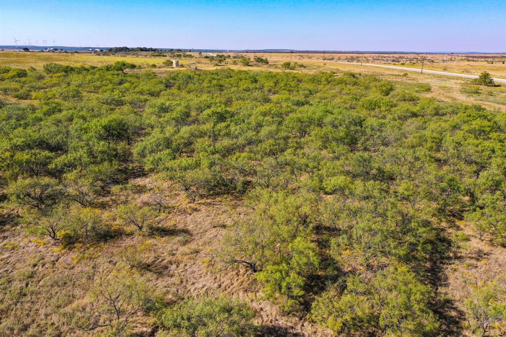 199 Rd Jacksboro Tx 76458 Road Jacksboro, TX 76458 - Photo 3 of 20
