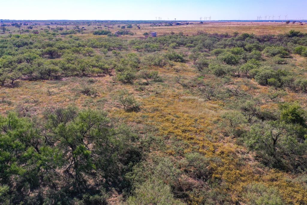 199 Rd Jacksboro Tx 76458 Road Jacksboro, TX 76458 - Photo 5 of 20