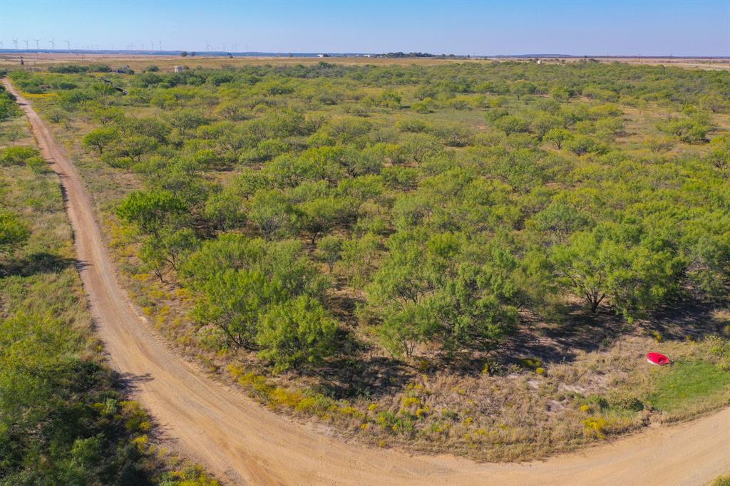 199 Rd Jacksboro Tx 76458 Road Jacksboro, TX 76458 - Photo 7 of 20