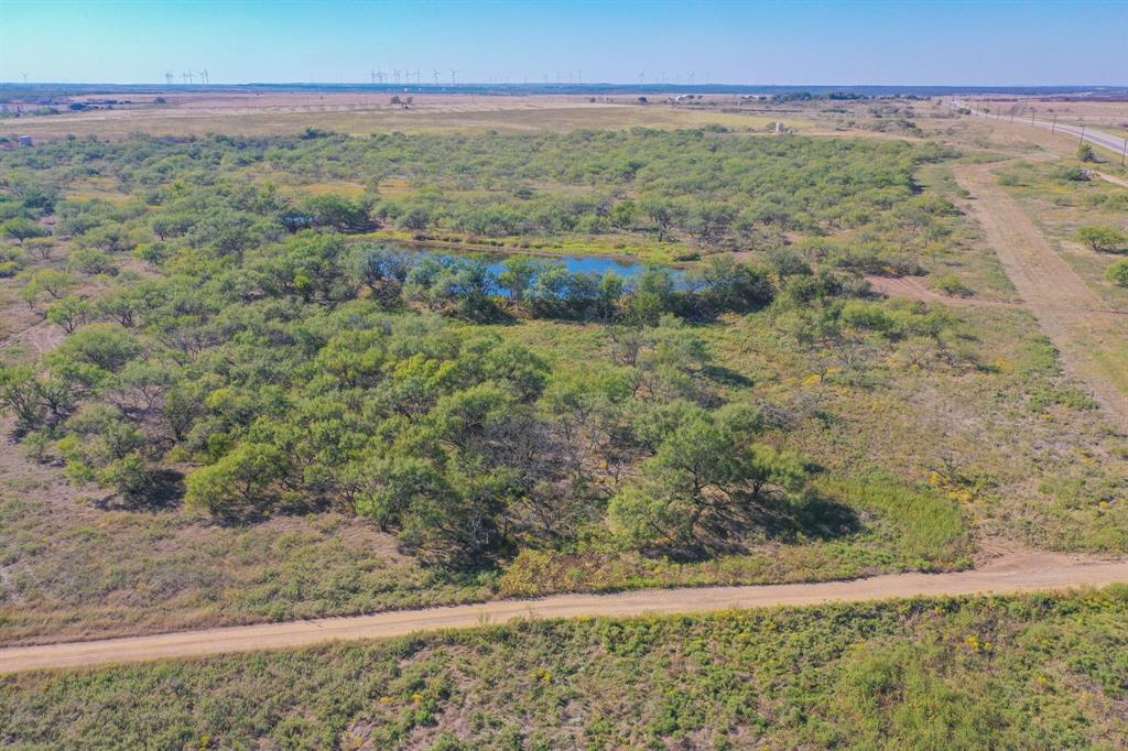 199 Rd Jacksboro Tx 76458 Road Jacksboro, TX 76458 - Photo 9 of 20