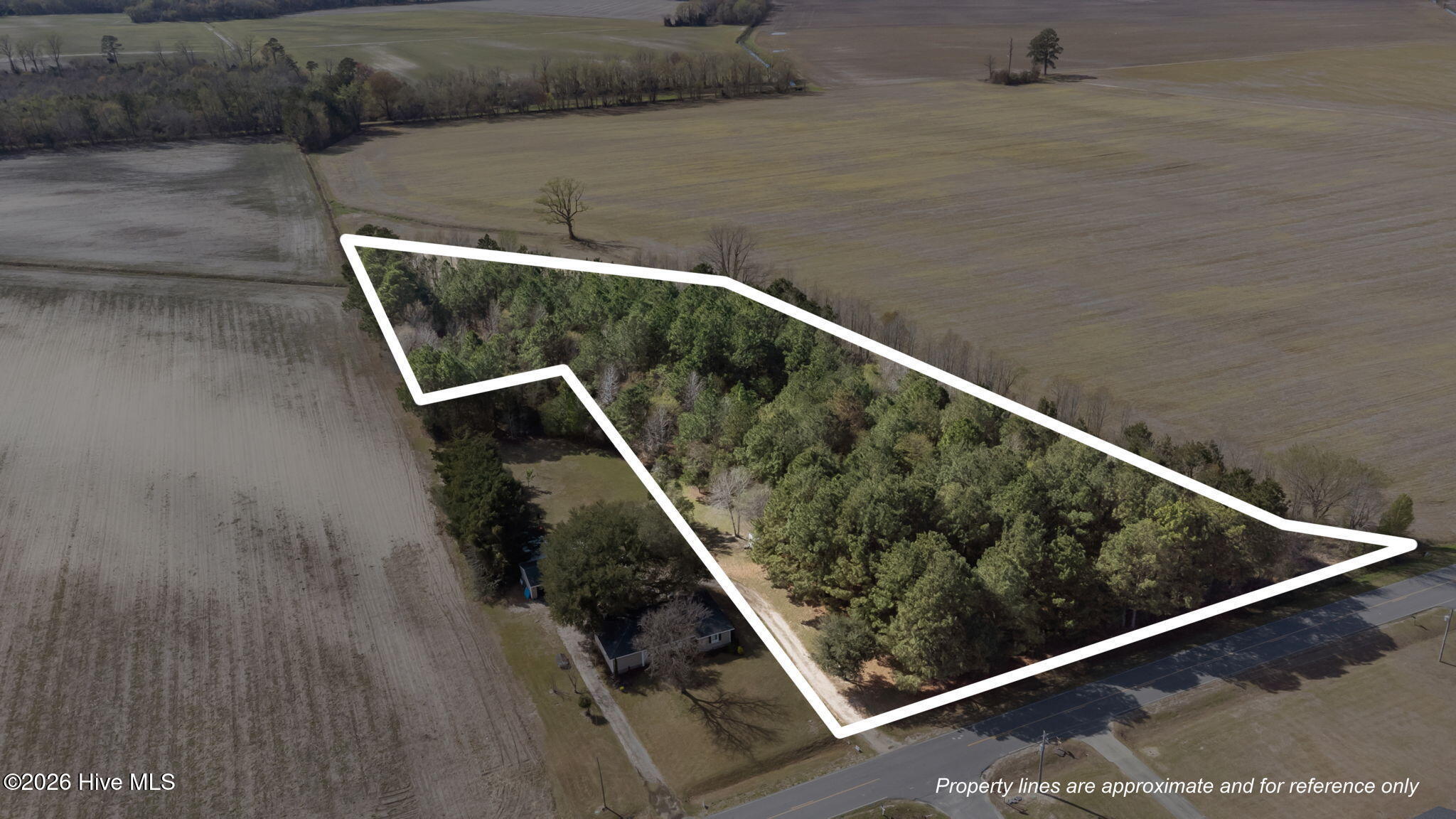 0 Louie Pollock Road La Grange, NC 28551 - Photo 2 of 11 1-web-or-mls-DJI_0833_1