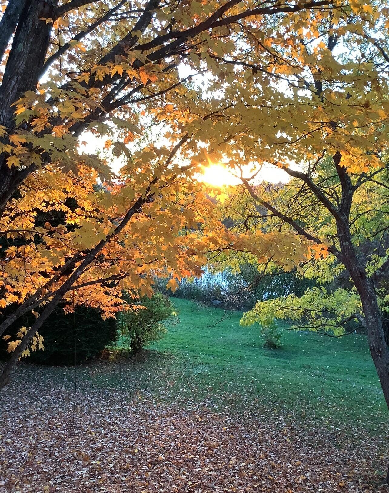 486 Webbs Mills Road Raymond, ME 04071 - Photo 74 of 101 Fall