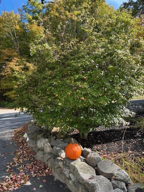 486 Webbs Mills Road Raymond, ME 04071 - Photo 93 of 101 Fall 3