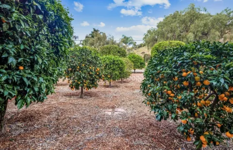 $2,395,000 | 2035-41 Mango Glen, Vista, CA 92084