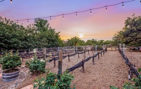 $2,395,000 | 2035-41 Mango Glen, Vista, CA 92084