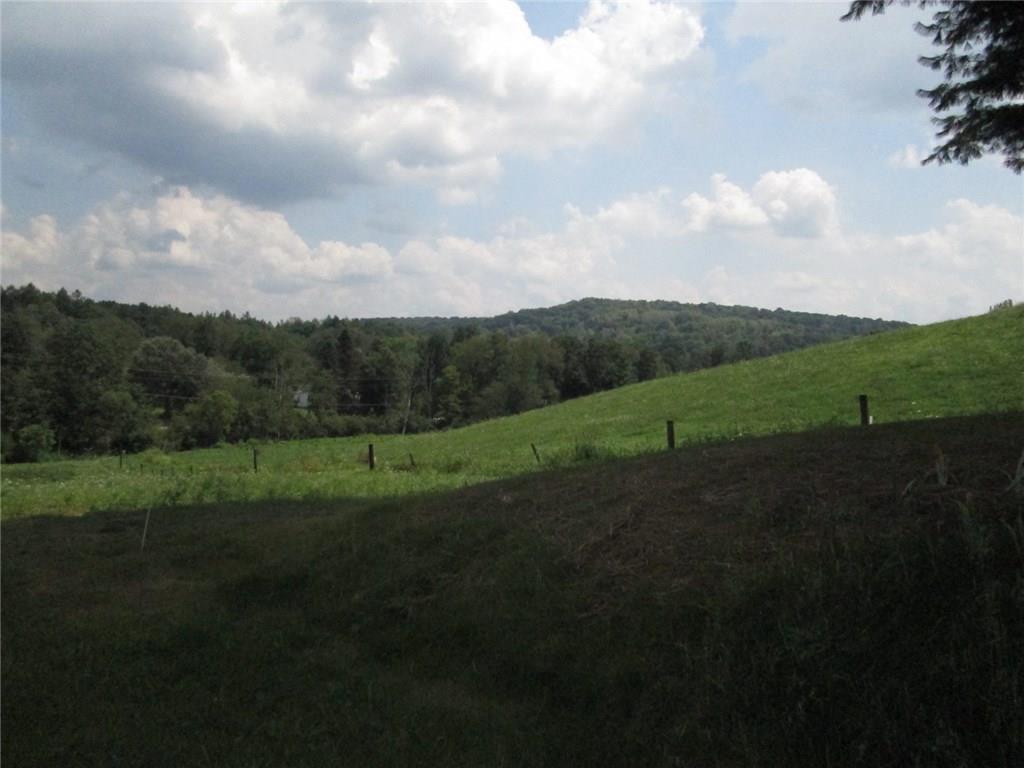 191 Adrian Sherrett Road Adrian, PA 16210 - Photo 6 of 24 Another view of one of 11 pasture areas on the farm.