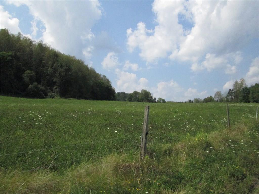 191 Adrian Sherrett Road Adrian, PA 16210 - Photo 8 of 24 Beautiful pasture area.
