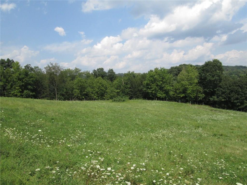 191 Adrian Sherrett Road Adrian, PA 16210 - Photo 9 of 24 Yet another pasture.