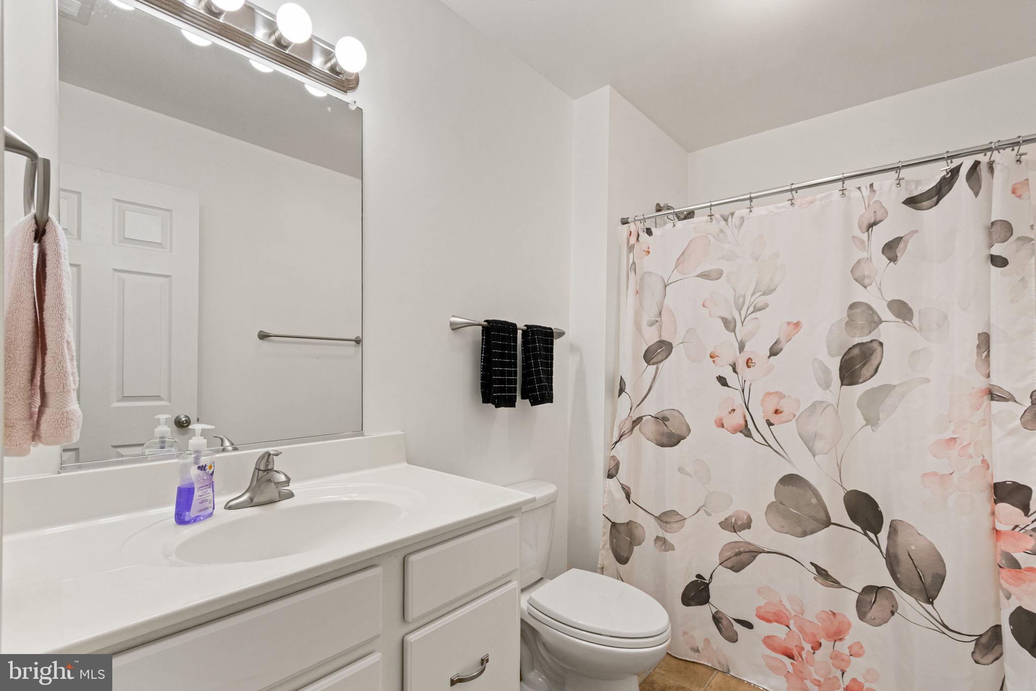 11055 Ransom Lane Bealeton, VA 22712 - Photo 30 of 45 a bathroom with a sink and a mirror
