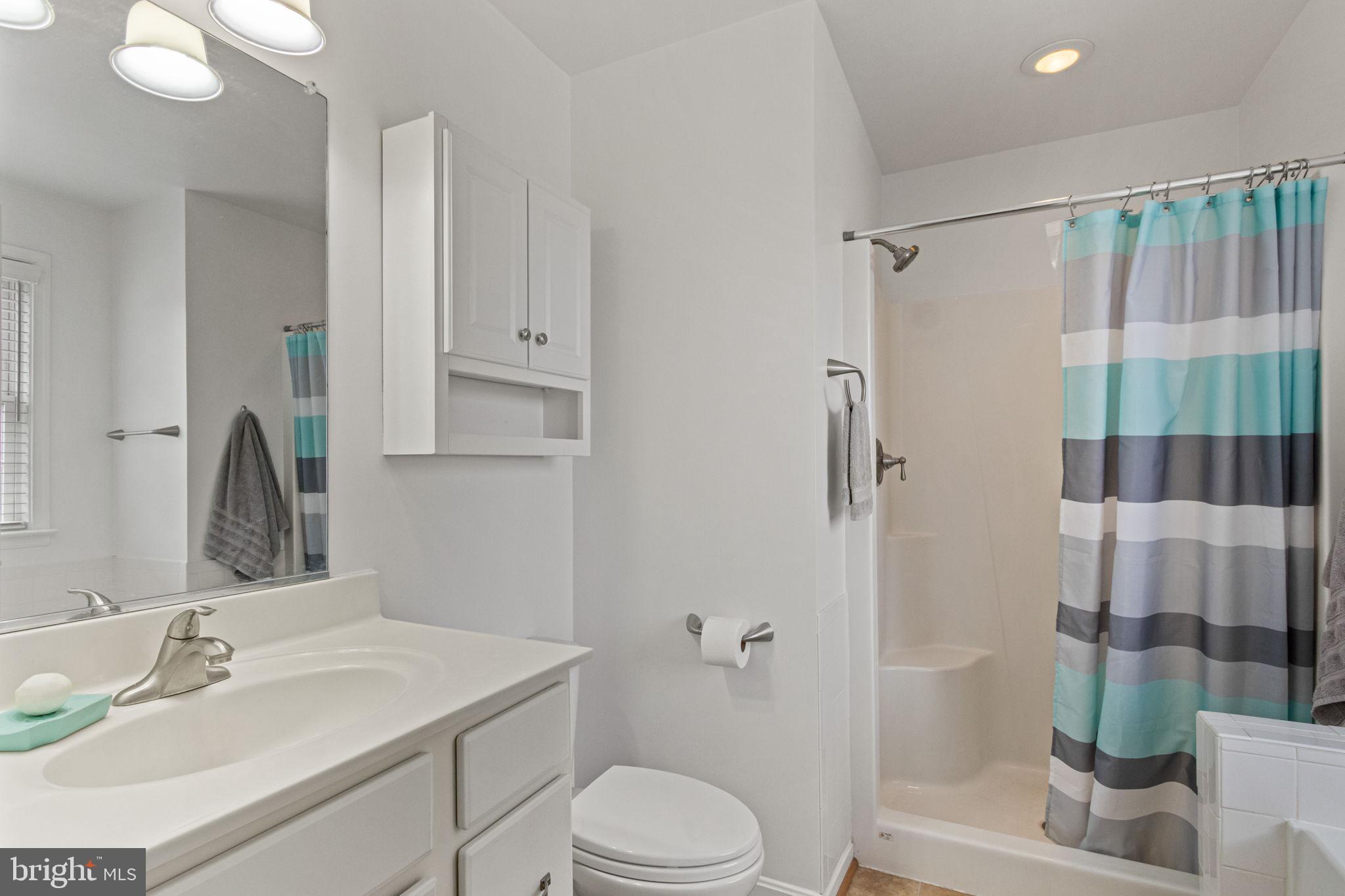 11055 Ransom Lane Bealeton, VA 22712 - Photo 34 of 45 a bathroom with a sink toilet and shower