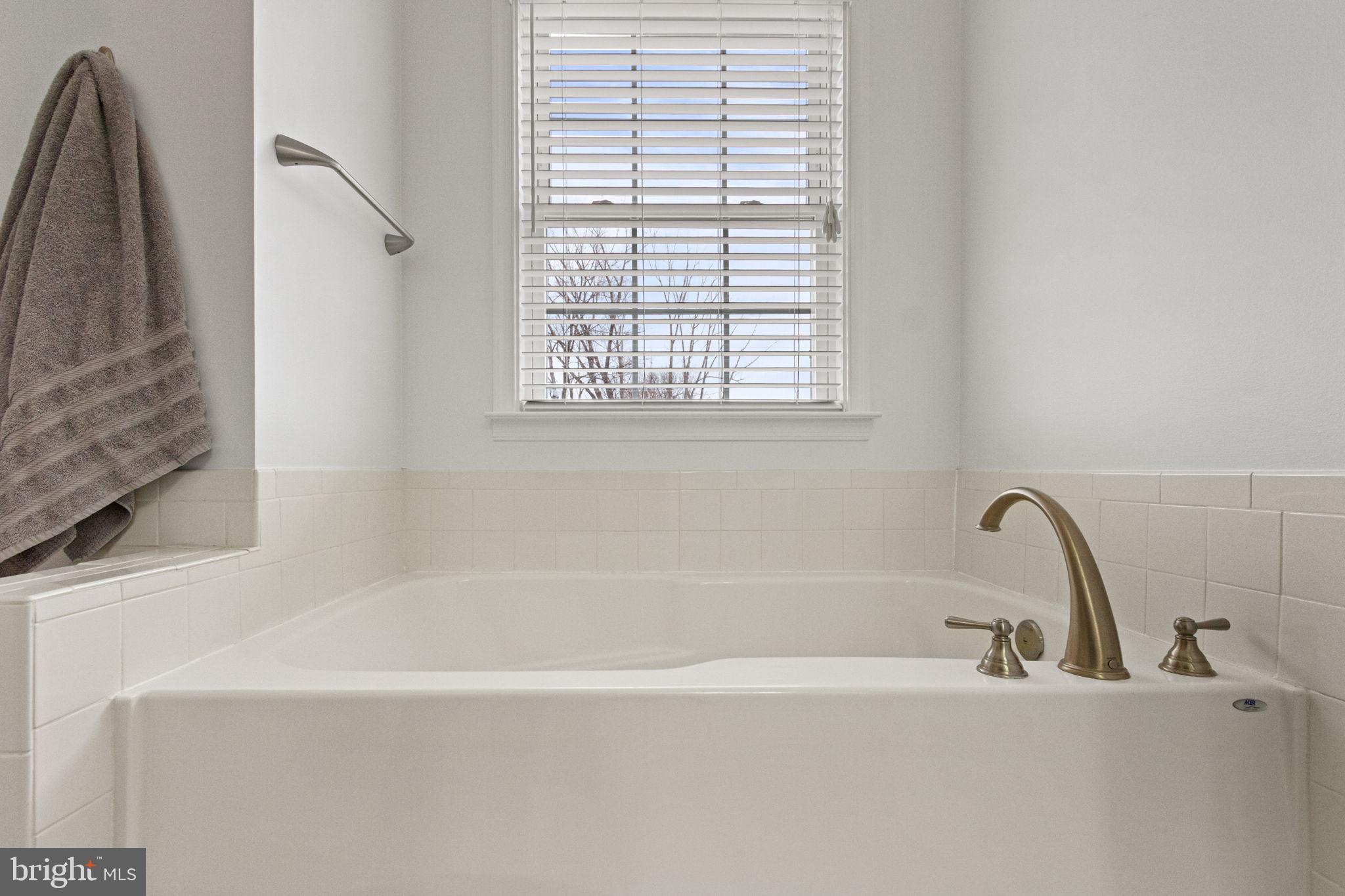11055 Ransom Lane Bealeton, VA 22712 - Photo 35 of 45 a bathroom with a sink and a bathtub