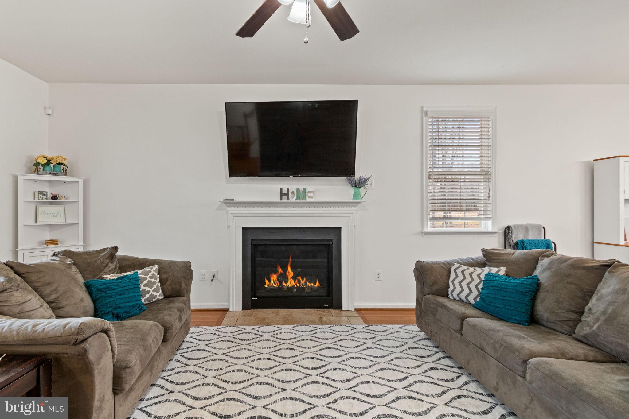 11055 Ransom Lane Bealeton, VA 22712 - Photo 10 of 45 a living room with furniture a flat screen tv and a fireplace