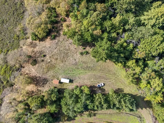 a view of a yard with a tree