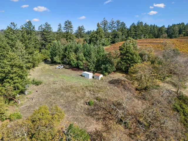 a view of outdoor space with trees all around
