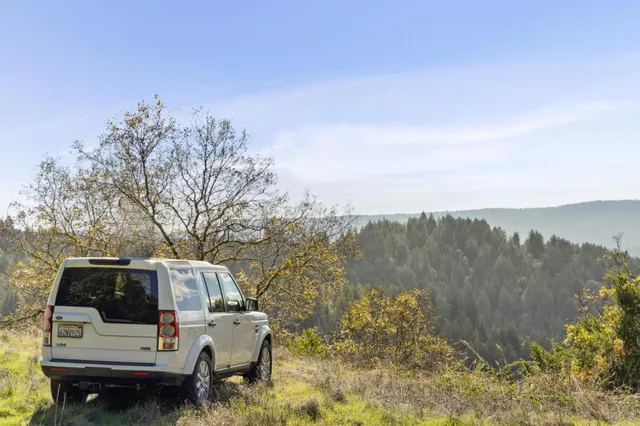 a view of a dry yard with trees