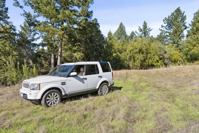 a view of outdoor space with trees all around