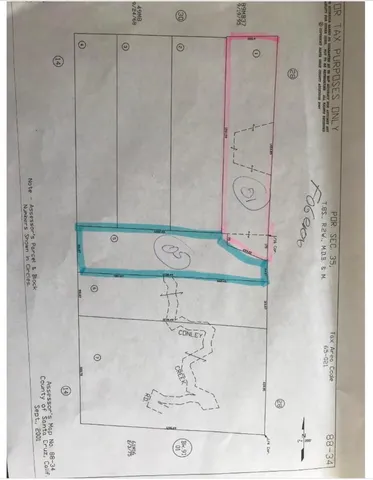 a close up of a tree