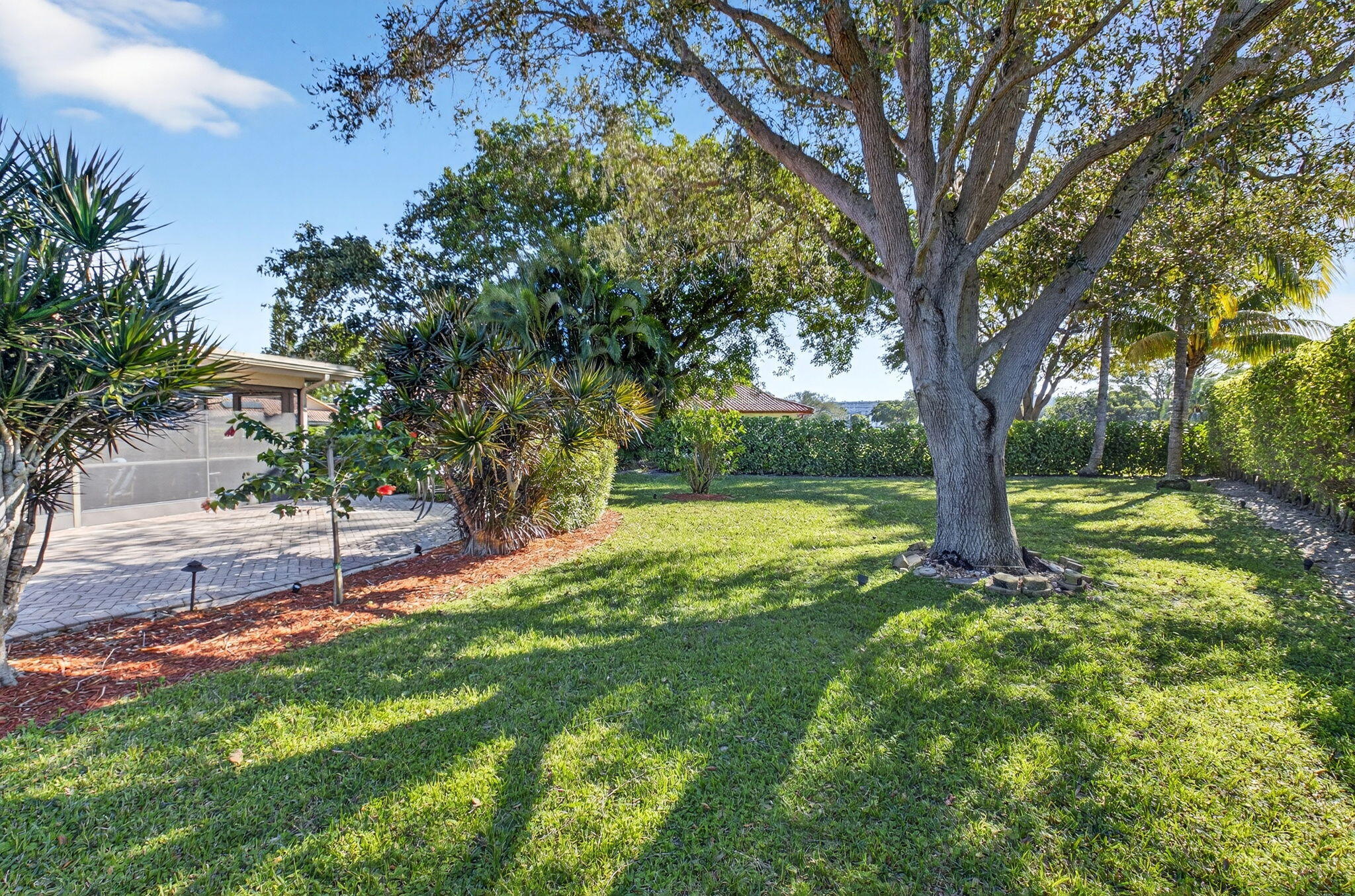 5470 Northwest 3rd Terrace Boca Raton, FL 33487 - Photo 53 of 72 a view of a yard with a tree