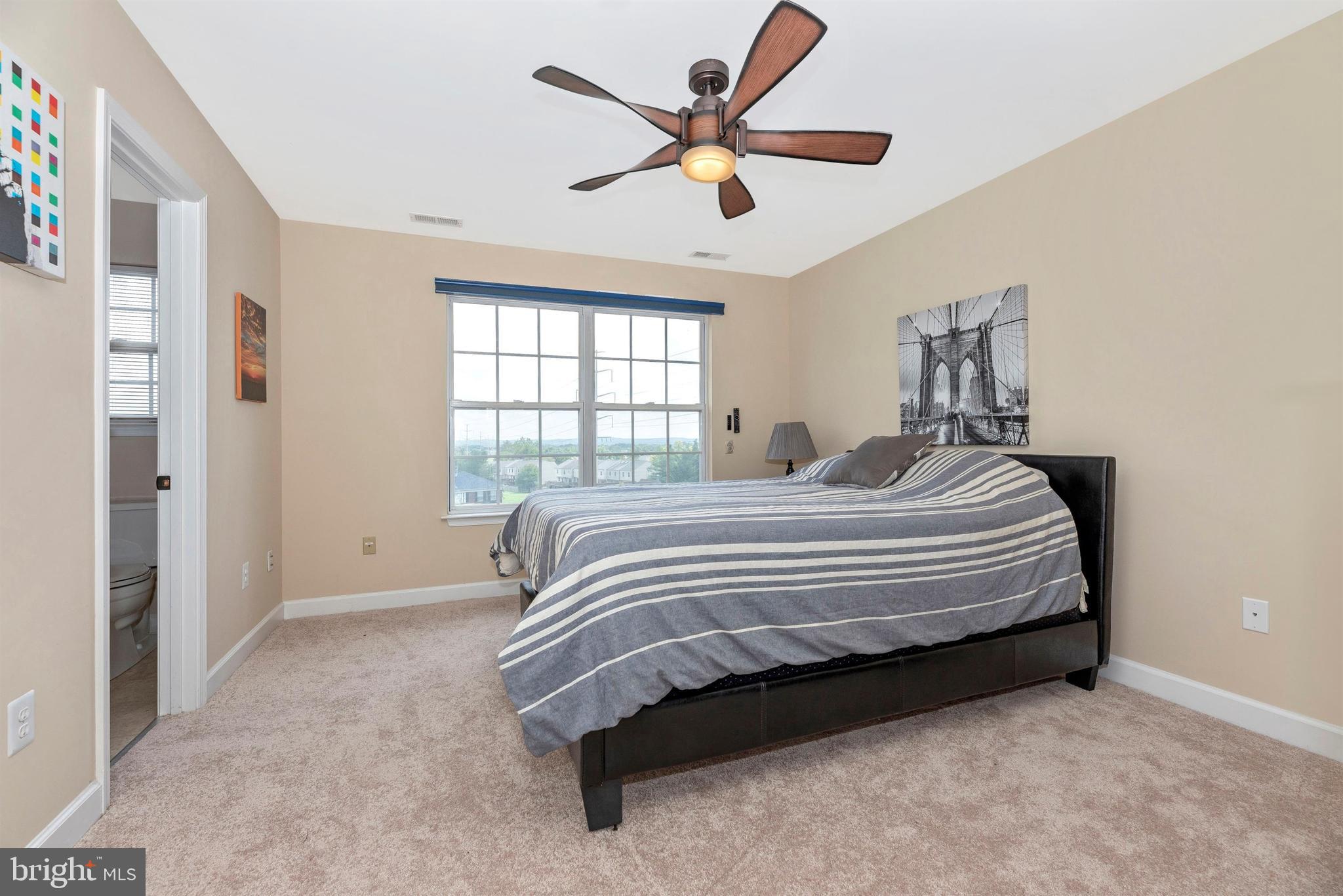 6432 View Point Court Frederick, MD 21703 - Photo 13 of 27 Bright and Airy Owners Suite