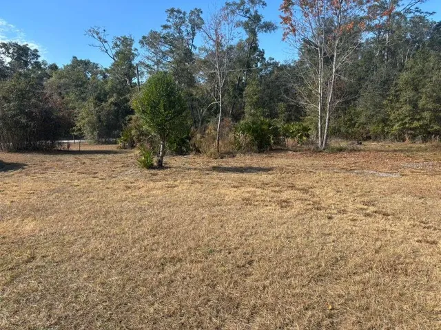 $89,900 | 343 Northeast 884th Avenue, Old Town, FL 32680