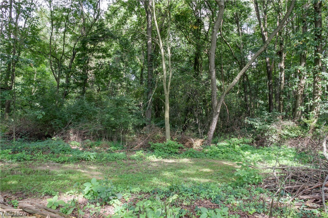 3717 Laubert Road Atwater, OH 44201 - Photo 32 of 35