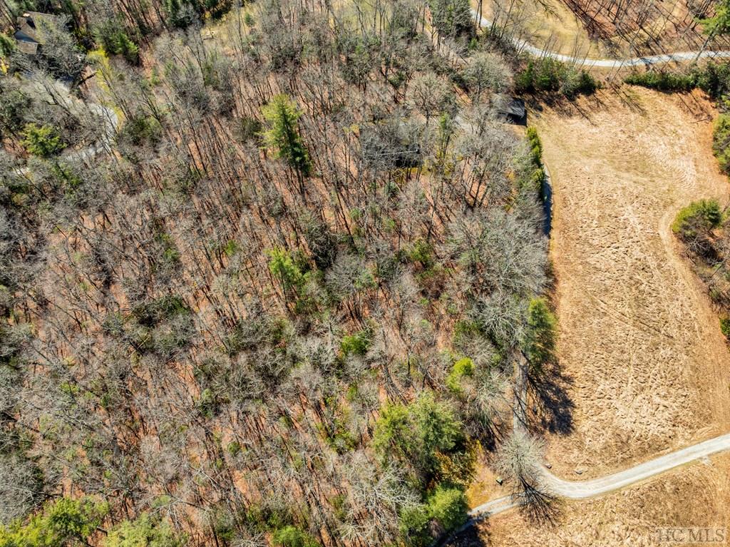 53 Timber Ridge Drive Sylva, NC 28779 - Photo 5 of 40 Gallery Image 5