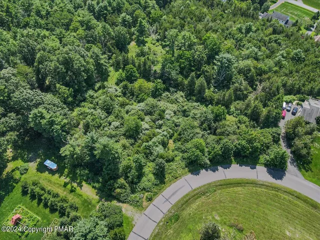 a view of a bunch of trees and bushes
