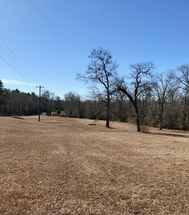 Lot 1 Holiness Church Road Wagener, SC 29164 - Photo 2 of 22