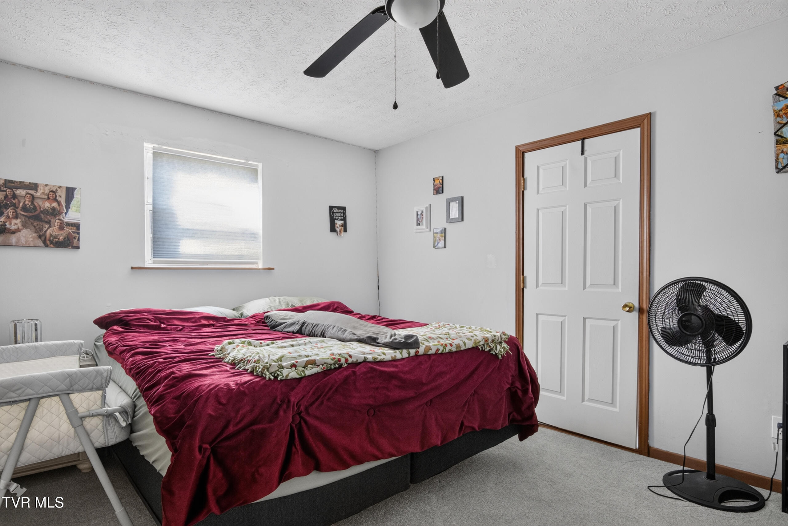 6196 Poplar Springs Road Greeneville, TN 37743 - Photo 26 of 59 DSC00770