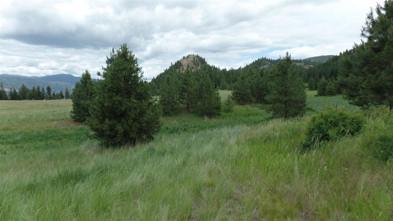 2165 B Mollenberg Road Kettle Falls, WA 99141 - Photo 13 of 14