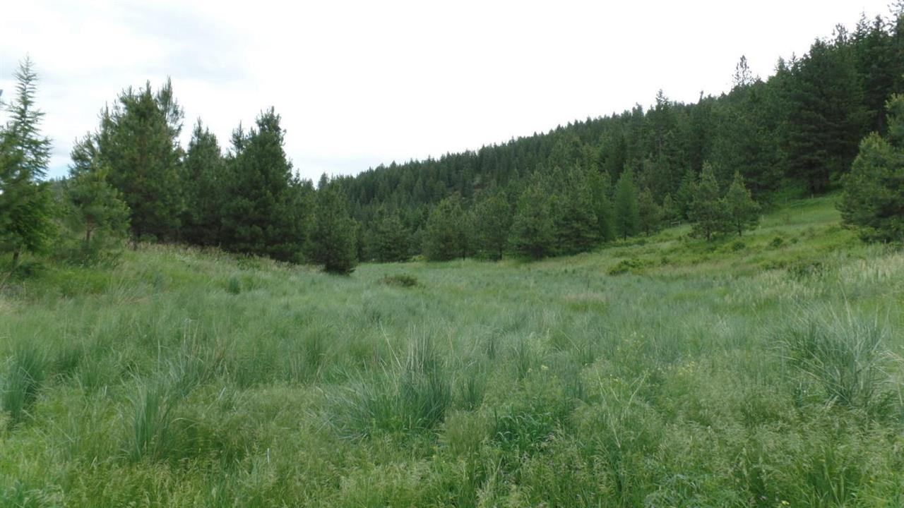 2165 B Mollenberg Road Kettle Falls, WA 99141 - Photo 14 of 14