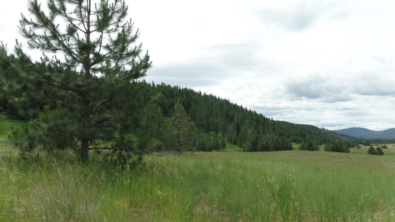 2165 B Mollenberg Road Kettle Falls, WA 99141 - Photo 4 of 14
