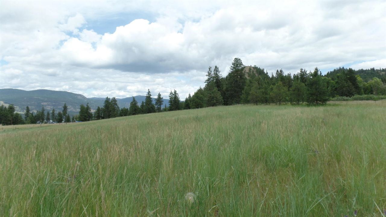 2165 B Mollenberg Road Kettle Falls, WA 99141 - Photo 8 of 14