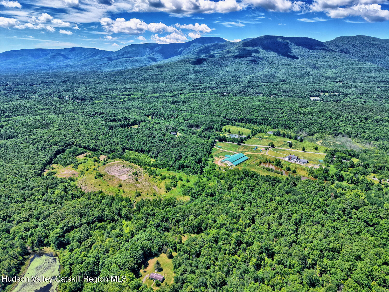 233 Edison Timmerman Road Cairo, NY 12413 - Photo 28 of 93 DJI_20260609113733_0689_D_90_D_91_D_easy