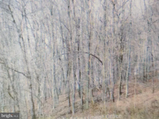 a close up view of a wooden wall