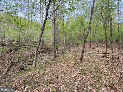 $24,000 | 22 Right Hand Gap Road, East Freedom, PA 16637
