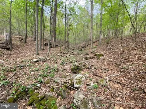 $24,000 | 22 Right Hand Gap Road, East Freedom, PA 16637
