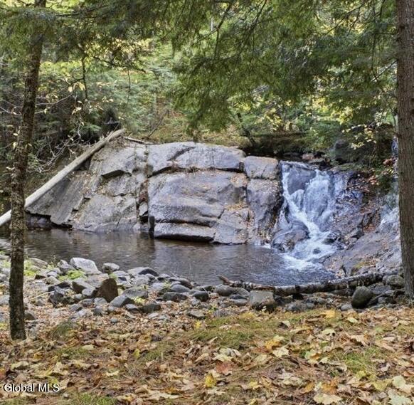 65 Dippikill Road Warrensburg, NY 12885 - Photo 4 of 36 Waterfalls