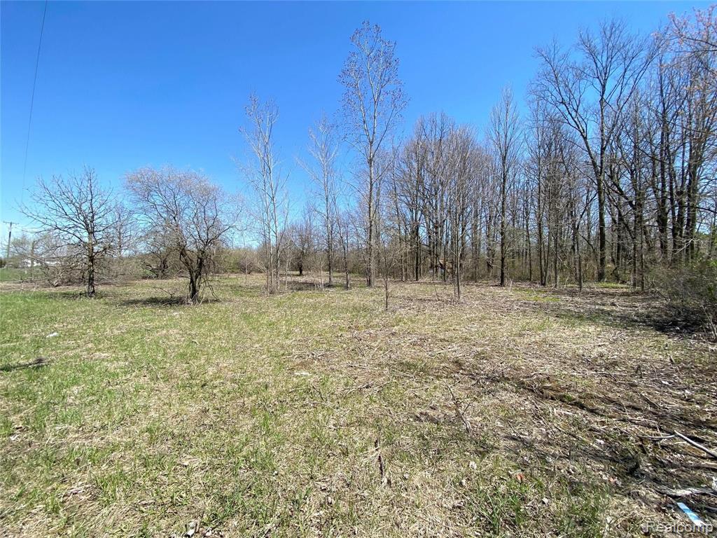 0 McIntyre Road North Street, MI 48049 - Photo 5 of 5