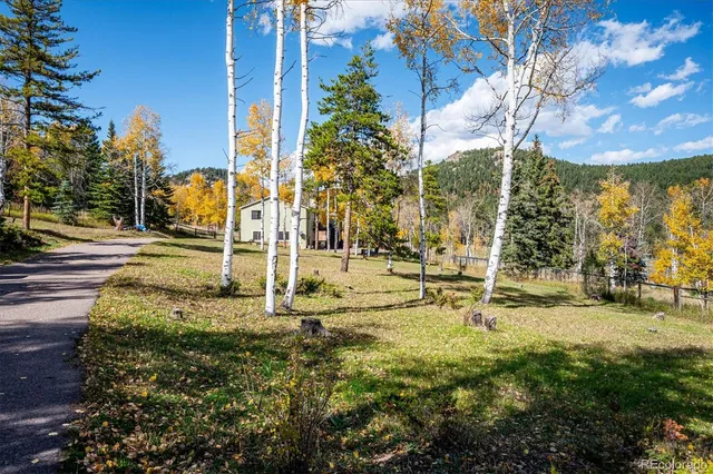 a view of a yard with swimming pool