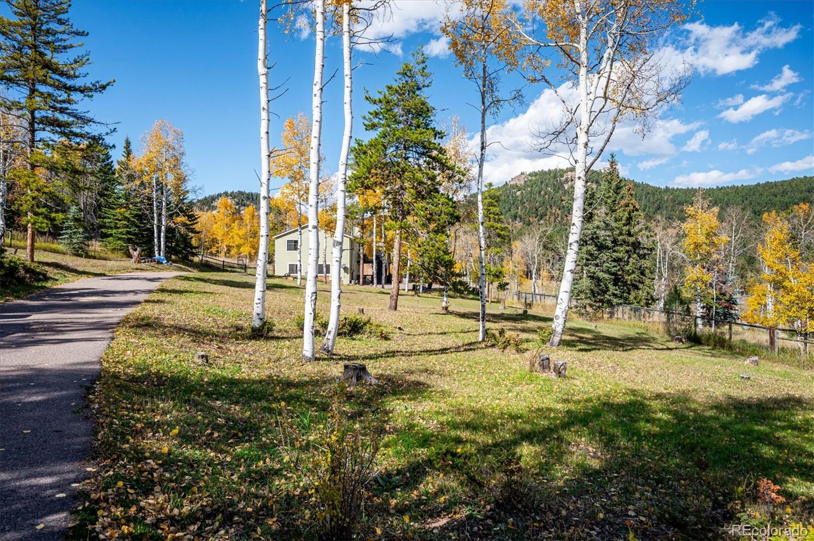 12369 Quartz Spur Conifer, CO 80433 - Photo 3 of 36 a view of a yard with swimming pool
