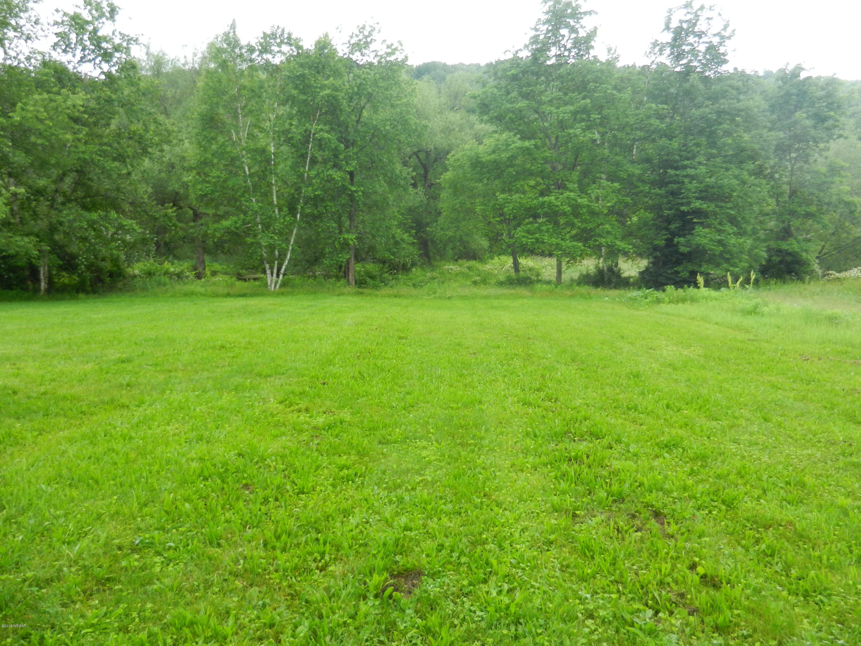 165 Round Top Road Wellsboro, PA 16901 - Photo 6 of 26 BACKYARD