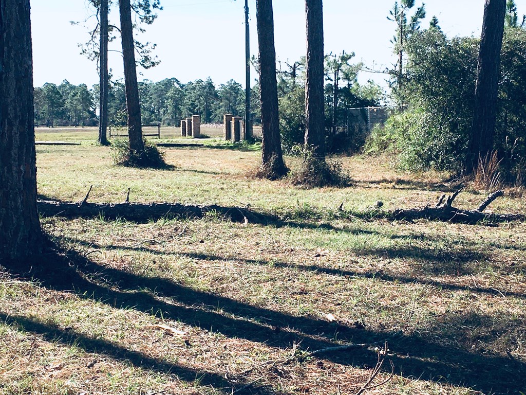 499 River Road Carrabelle, FL 32322 - Photo 5 of 21 Gallery Image 5