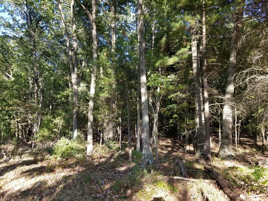 Tbd Dry Road, Unit 34 Speedwell, VA 24374 - Photo 3 of 25 Gallery Image 3
