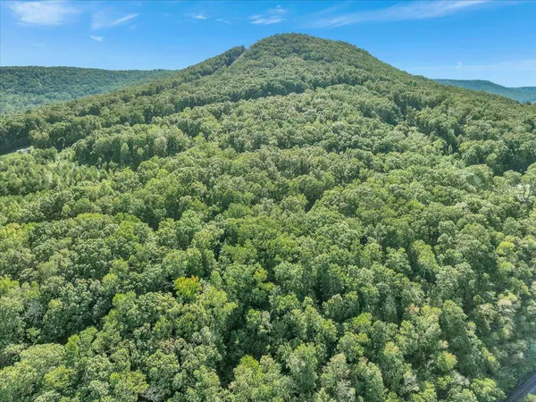 $49,900 | 0 Browbend Drive, Unit 4, Guild, TN 37340