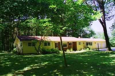 Primary Photo