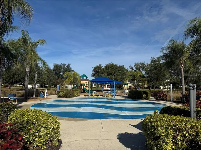 a view of a park with palm trees