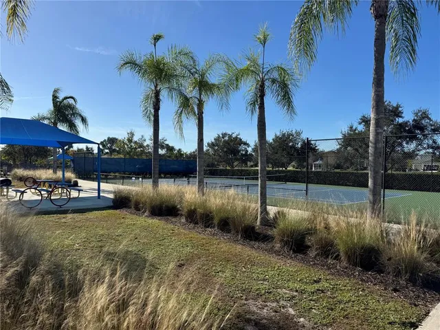 a view of a garden with a bench