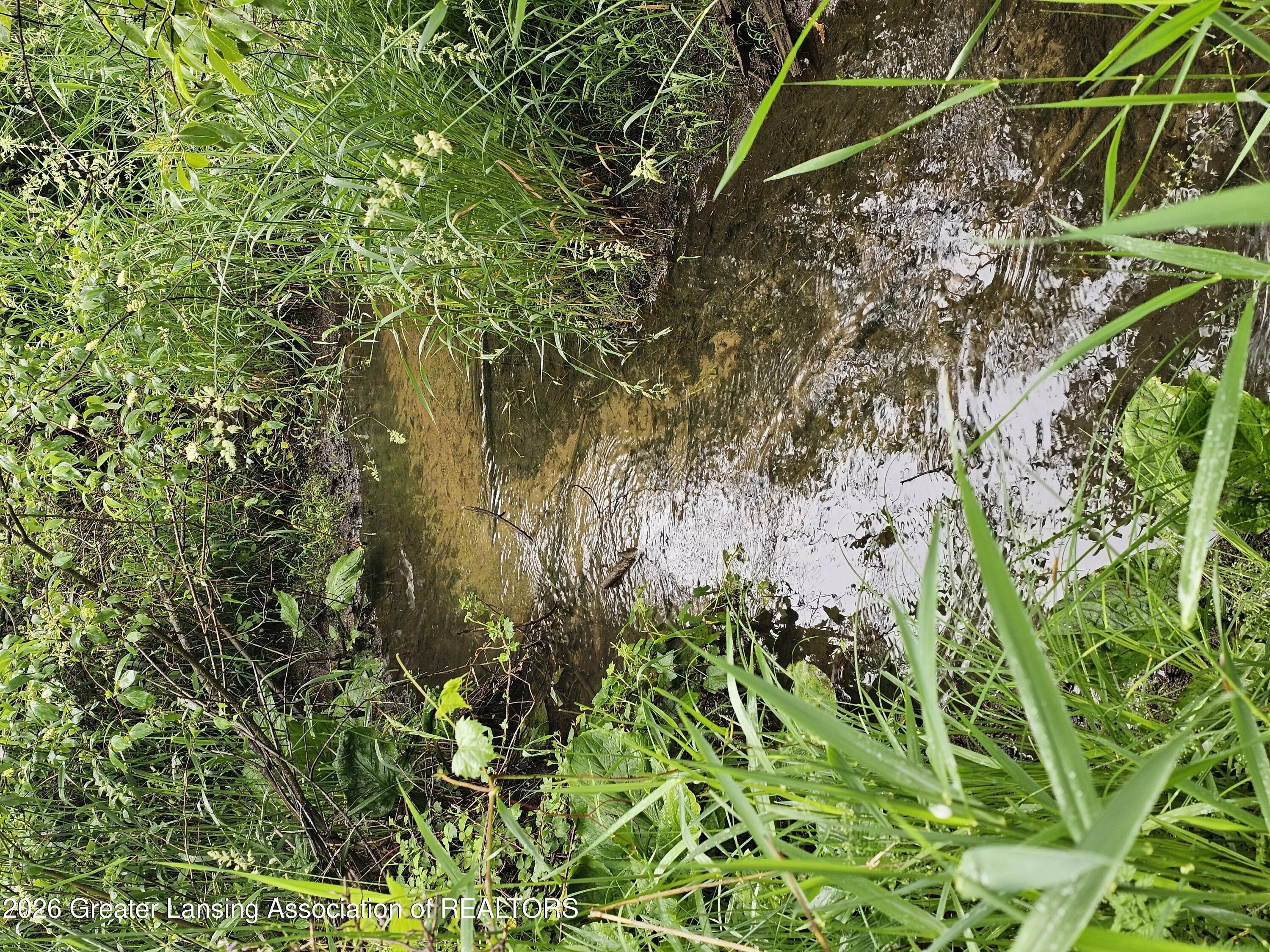 14540 South Wacousta Road Grand Ledge, MI 48837 - Photo 2 of 48 Creek running through!